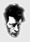 Herman Brood head